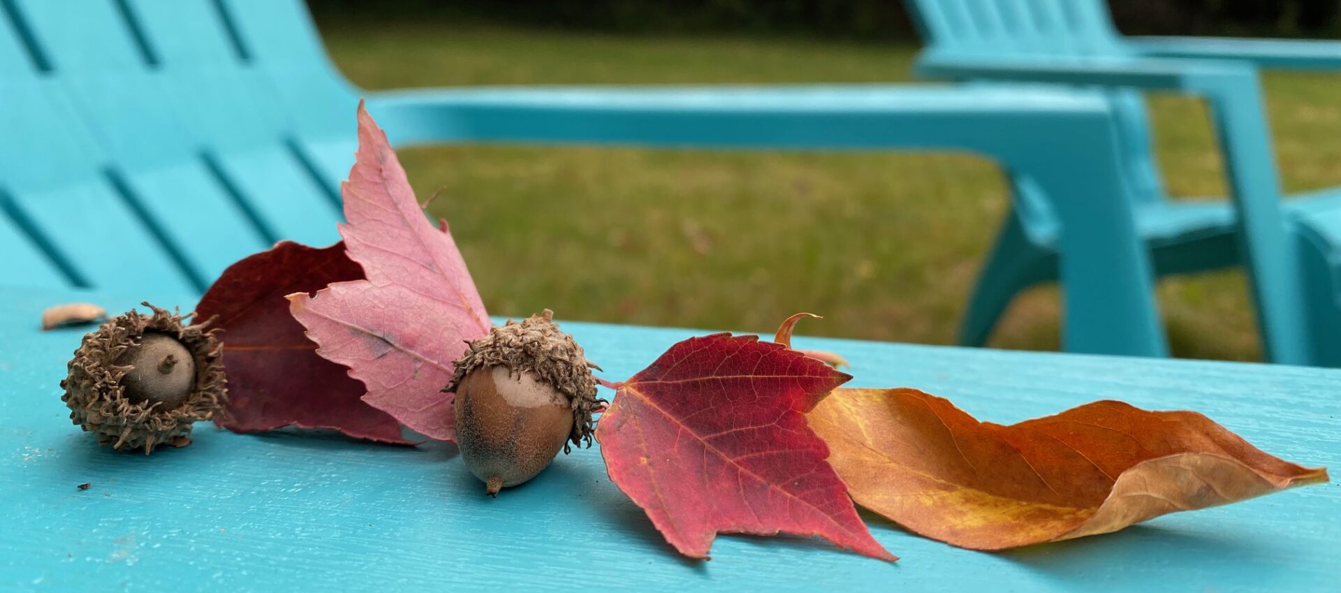 Amery Fall Festival