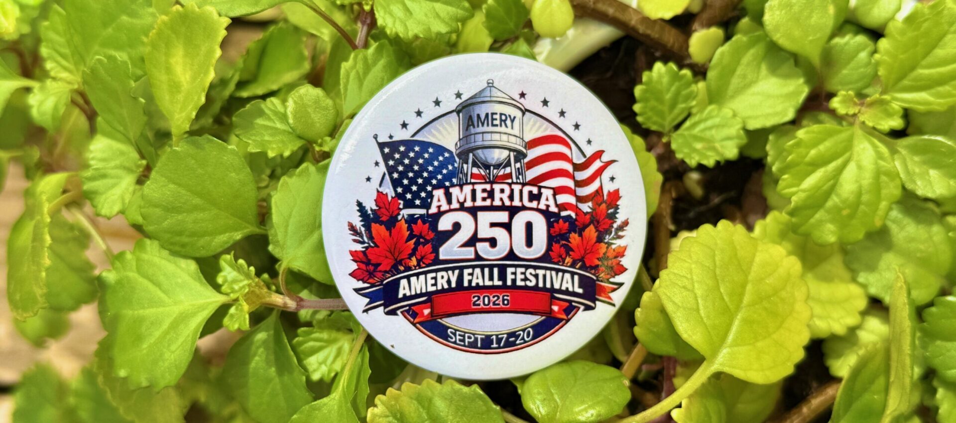 Amery Fall Festival